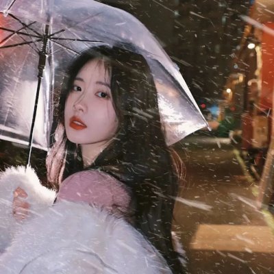 妖精森林的小不点